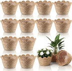 AceOrbit 12 Pcs Scalloped Seagrass Plant Basket, Medium, Brown by Unknown