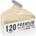 HOUSE DAY Beige Velvet Hangers 120 Pack, Premium Non Slip Clothes Hanger by HOUSEDAY