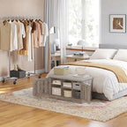 DINZI LVJ Shoe Storage Bench with Cushion, Door, Greige 31.5" LX17.7 H - Image 2