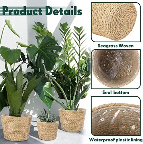Mumufy 6 Pcs Seagrass Planter Basket Hand Woven Flower Pot Cover, Classic - Image 3