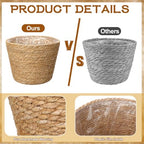 6Pcs Large Premium Seagrass Planter Basket with Plastic Lining Natural Stylish Planter Baskets Indoor Outdoor Plants Woven Wicker Baskets for Plants Flower Pots Cover Room Decor(10.2x7.5x7.5) - Image 4