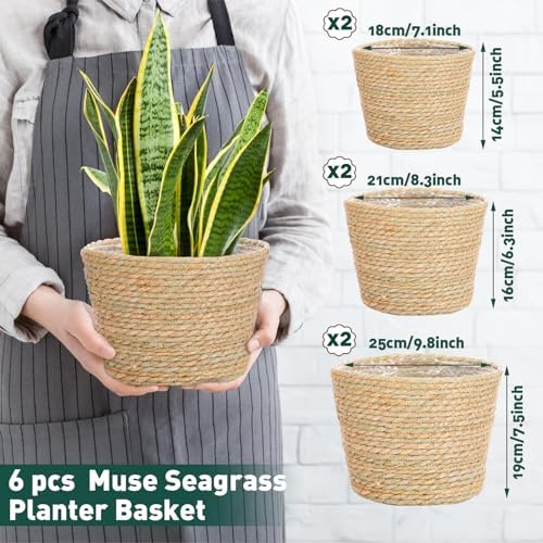 Mumufy 6 Pcs Seagrass Planter Basket Hand Woven Flower Pot Cover, Classic - Image 2
