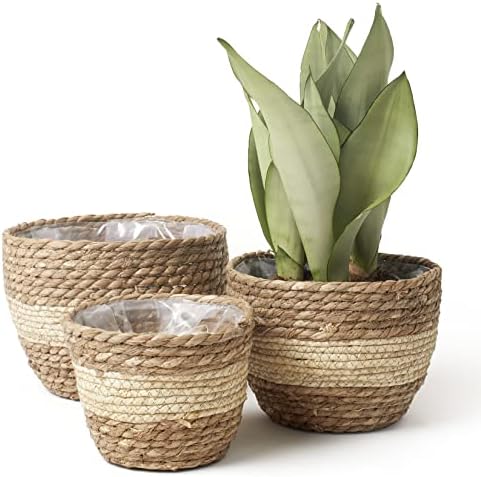 LA JOLIE MUSE Seagrass Basket Planters for Indoor Plants, Flower Pot 3 Pack by LaJol%C3%ADeMuse