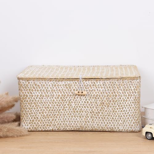 FEIALNDUO Wicker Shelf Baskets with Lid,Seagrass Storage Basket Bins Rectangular Handwoven Basket Boxes for Shelves Desktop Home Organizer (Whitewash, Large) - Image 3