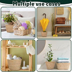 Mumufy 6 Pcs Seagrass Planter Basket Hand Woven Flower Pot Cover, Classic - Image 6