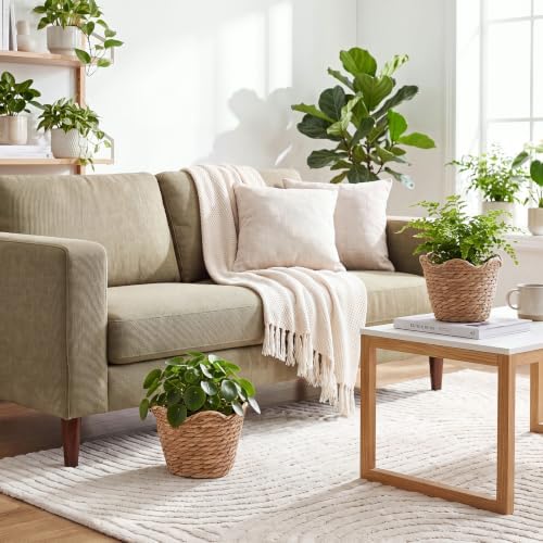 4 Pack Seagrass Woven Plant Basket with Waterproof Plastic Liner, Wicker Straw Storage Basket for Indoor Outdoor Plants, Laundry Organizer (6.3" x 5.51" x 5.12") - Image 4