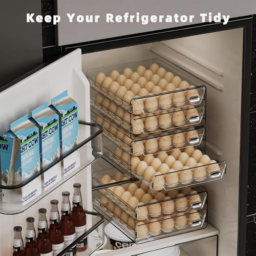 HIYOHIYO Clear 60 Grid Egg Organizer for Refrigerator with Drawers, 2-Tier - Image 6