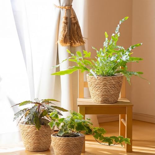 4Pcs Premium Seagrass Planter Baskets Plastic Liner Mid Plant Basket Woven - Image 6