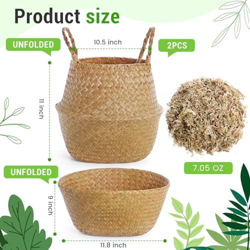 Knitgrip Large Wicker Plant Basket with Handle 10 Inch Woven Seagrass Belly Basket and Artificial Moss for House Plants Picnic Grocery Laundry Storage Home Decor(Large,Original,2 Pack) - Image 2