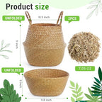 Knitgrip Large Wicker Plant Basket with Handle 10 Inch Woven Seagrass Belly Basket and Artificial Moss for House Plants Picnic Grocery Laundry Storage Home Decor(Large,Original,2 Pack) - Image 2
