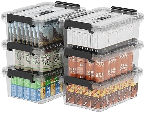 Cetomo Plastic Storage Bins with Handle, Storage Bin with Lids, Organizing Container, PP Box for Home Office, Clear, 18 Quart (Pack of 6) by Cetomo
