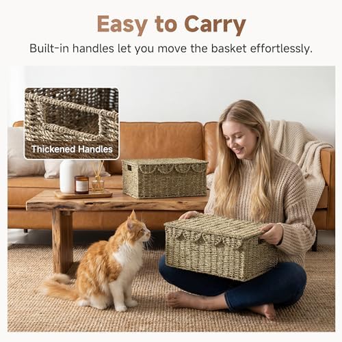 StorageWorks Scalloped Wicker Basket with Lid, Seagrass Storage Baskets - Image 5