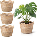 4 Pcs Large Seagrass Planter Basket with Plastic Lining Wicker Planter Basket Weaved Baskets for Plants Laundry Baskets Plant Container Straw Flower Pot for Indoor Outdoor Plants by Kritkin