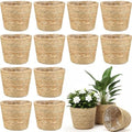 AceOrbit 12 Pcs Wicker Plant Basket Bulk with Liners Woven Planter Baskets Bulk for Indoor Outdoor Seagrass Plants Woven Wicker Baskets for Flower Pots Cover and Room Decor (Small,Rustic) by Unknown