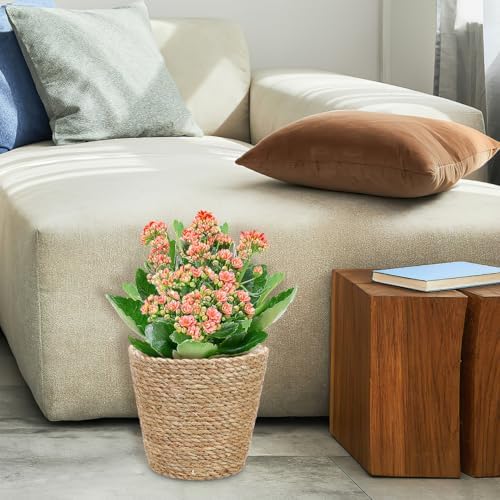 Hemoton Rattan Planter Basket Wicker Plant Flower Pot 8.7 Inch Seagrass Woven Indoor Planter for Home Decor and Succulent Plants - Image 4