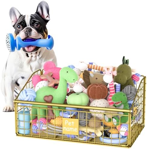 Kaiferty Indestructible Dog Toy basket, Medium Toy Box for Dogs,Pet Toy Bin Dog Metal Basket for Toys, Toy Storage Organizer, Toy Box for Living Room Area (Gold) by Kaiferty