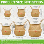 Qunclay 4 Pcs Woven Seagrass Baskets Belly Basket, M,18.46''dx8.66''h - Image 3