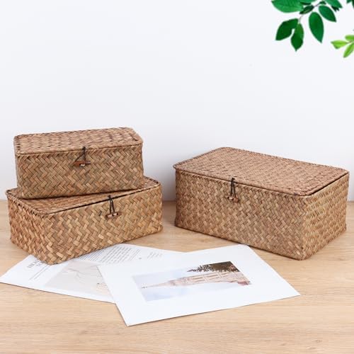 FEIALNDUO Wicker Shelf Baskets with Lid,Seagrass Storage Basket Bins Rectangular Handwoven Basket Boxes for Shelves Desktop Home Organizer (Coffee, Large) - Image 7