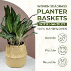 Seagrass Plant Basket Set of 3 with Handles – Handwoven Woven Basket Planter, Indoor Plant Basket & Plant Holder Basket, Natural Fiber Wicker Plant Pot Basket for Boho Farmhouse Home Decor - Image 3