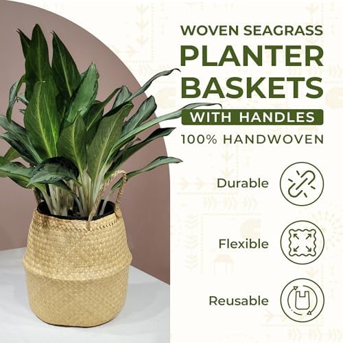 Seagrass Plant Basket Set of 3 with Handles – Handwoven Woven Basket Planter, Indoor Plant Basket & Plant Holder Basket, Natural Fiber Wicker Plant Pot Basket for Boho Farmhouse Home Decor - Image 3