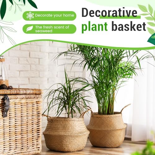 Knitgrip Large Wicker Plant Basket with Handle 10 Inch Woven Seagrass Belly Basket and Artificial Moss for House Plants Picnic Grocery Laundry Storage Home Decor(Large,Original,1 Pack) - Image 4