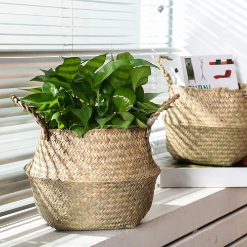 Qunclay 4 Pcs Woven Seagrass Baskets Belly Basket, M,18.46''dx8.66''h - Image 2