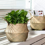 Qunclay 4 Pcs Woven Seagrass Baskets Belly Basket, M,18.46''dx8.66''h - Image 2