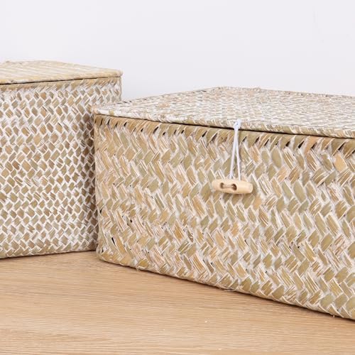 FEIALNDUO Wicker Shelf Baskets with Lid,Seagrass Storage Basket Bins Rectangular Handwoven Basket Boxes for Shelves Desktop Home Organizer (Whitewash, Large) - Image 4