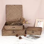 Hipiwe Set of 3 Flat Wicker Basket Bins with Lid - Handwoven Seagrass Boxes - Image 4