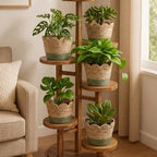 AceOrbit 6 Pcs Scalloped Seagrass Plant Basket, Medium, Brown and Green - Image 2