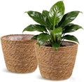 2PCS Seagrass Plant Basket for Indoor and Outdoor,Wicker Planter Basket with Liner for 6 inch Pot,Small Plant Pot Covers for Potted Plants,Rattan Storage Baskets for Rustic Boho Farmhouse Decor by Home