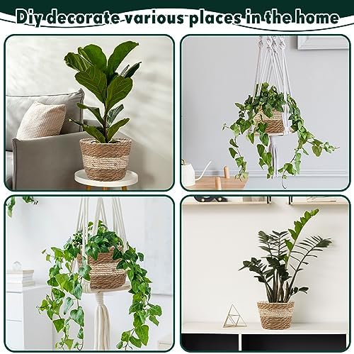 Mumufy 6 Pcs Seagrass Planter Basket Hand Woven Flower Pot Cover, Novel - Image 4