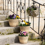 Woven Plant Basket,Round Seagrass Wicker Planter for Indoor - Image 2