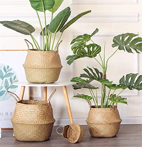 Large Woven Seagrass Belly Basket for Plant, Grocery, Picnic, 12" Diameter x 14" Height - Image 2
