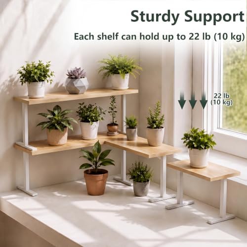 Golener Countertop Shelf, Kitchen Counter Organizer, Adjustable, Stackable - Image 6