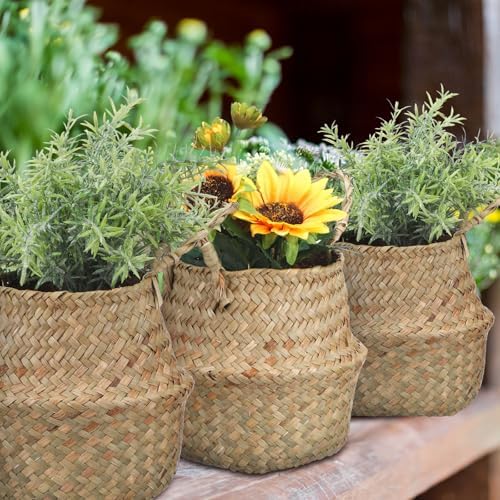 Qunclay 4 Pcs Woven Seagrass Baskets Belly Basket, Xs,S,M,L - Image 4