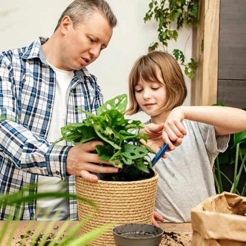 6Pcs Large Premium Seagrass Planter Basket with Plastic Lining Natural Stylish Planter Baskets Indoor Outdoor Plants Woven Wicker Baskets for Plants Flower Pots Cover Room Decor(10.2x7.5x7.5) - Image 3