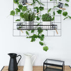 4 Pcs 15.75 x 3.94 x 1.97 Inch Metal Grid Wall Baskets with Hooks Grid Wall Shelves Hanging Wire Basket Multi Function Storage Organizer for Kitchen Organizing Display (Black) - Image 4