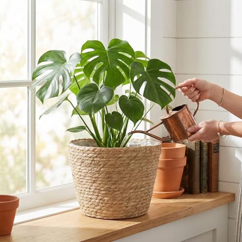 Set of 4 Seagrass Planter Basket, 6" 7" 9" 10" Hand Woven Plant Basket with Waterproof Plastic Liner, Round Natural Flower Pot for Indoor Outdoor Modern Home Decoration, Brown - Image 6