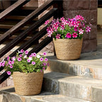6Pcs Large Premium Seagrass Planter Basket with Plastic Lining Natural Stylish Planter Baskets Indoor Outdoor Plants Woven Wicker Baskets for Plants Flower Pots Cover Room Decor(10.2x7.5x7.5) - Image 6