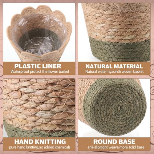 AceOrbit 6 Pcs Scalloped Seagrass Plant Basket, Medium, Brown and Green - Image 6