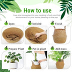 Knitgrip Large Wicker Plant Basket with Handle 10 Inch Woven Seagrass Belly Basket and Artificial Moss for House Plants Picnic Grocery Laundry Storage Home Decor(Large,Original,2 Pack) - Image 7