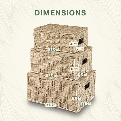 Set of 3 Seagrass Storage Baskets with Lid - Image 7