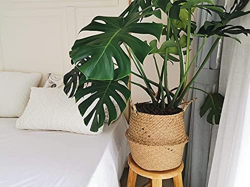 Large Woven Seagrass Belly Basket for Plant, Grocery, Picnic, 12" Diameter x 14" Height - Image 3