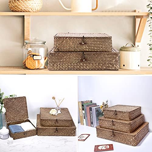 Hipiwe Set of 3 Flat Wicker Basket Bins with Lid - Handwoven Seagrass Boxes - Image 2