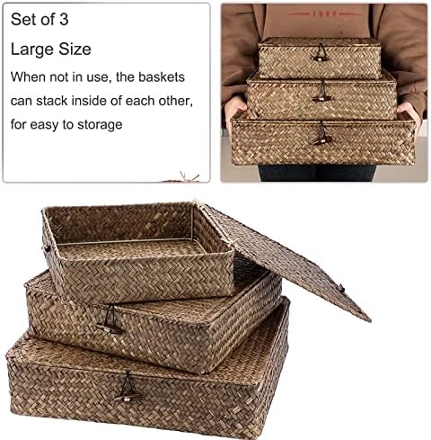 Hipiwe Set of 3 Flat Wicker Basket Bins with Lid - Handwoven Seagrass Boxes - Image 3