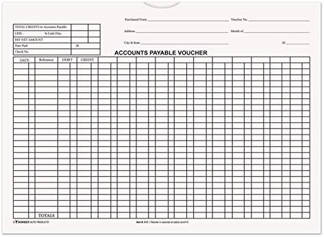 Accounts Payable Voucher Envelopes (Form #DSA-540) (Several Colors) (100 per Pack) (White) by DonkeyAutoProducts