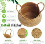 Knitgrip Large Wicker Plant Basket with Handle 10 Inch Woven Seagrass Belly Basket and Artificial Moss for House Plants Picnic Grocery Laundry Storage Home Decor(Large,Original,1 Pack) - Image 3