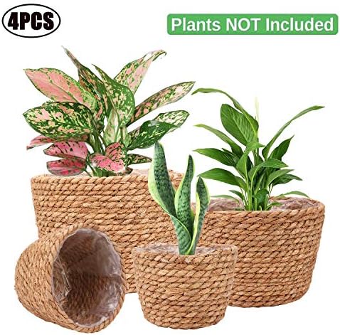 Seagrass Planter Basket Stylish Planter Baskets, Set of 4 - Image 4