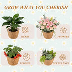 2PCS Seagrass Plant Basket for Indoor and Outdoor,Wicker Planter Basket with Liner for 6 inch Pot,Small Plant Pot Covers for Potted Plants,Rattan Storage Baskets for Rustic Boho Farmhouse Decor - Image 4